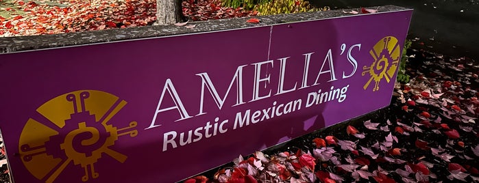 Amelia's is one of Lunch restaurants to try.