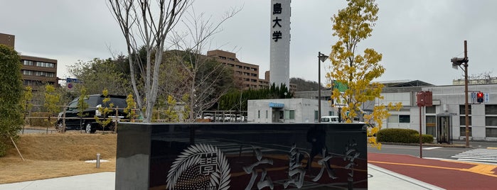 Hiroshima University is one of 国立大学 (National university).
