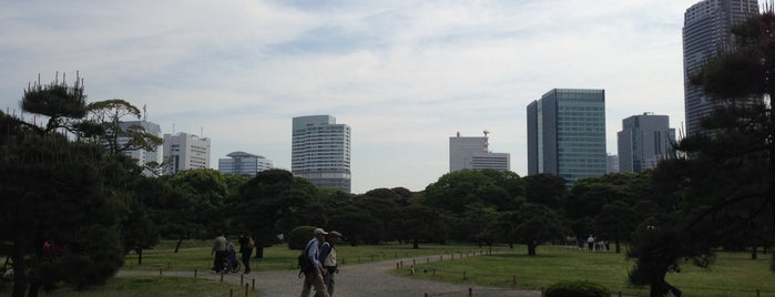 Hama Rikyu Onshi Garden Oteguchi is one of Tokyo Minato.