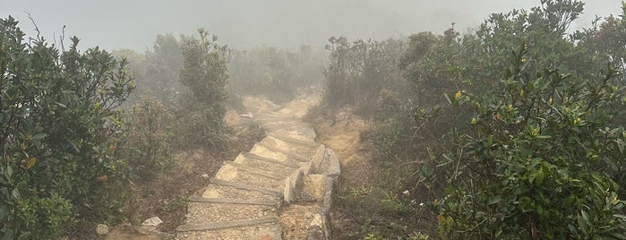 Jardine's Lookout is one of Hiking HKG.