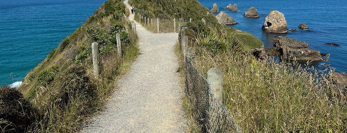 Nugget Point Lighthouse is one of สถานที่ที่ Nick ถูกใจ.