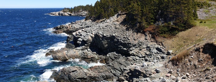 Cape Breton Highlands National Park is one of Orte, die Greg gefallen.