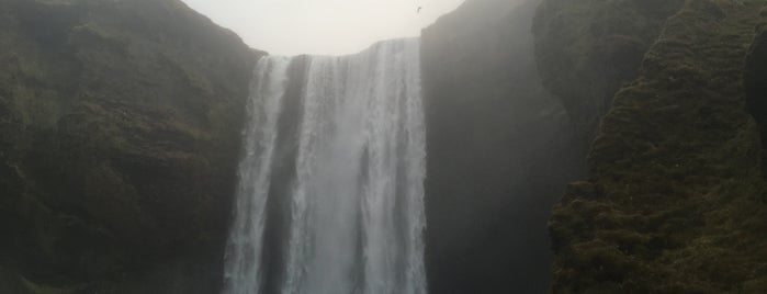 Skógafoss is one of Lefさんのお気に入りスポット.