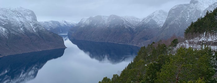 Stegastein is one of สถานที่ที่ Lef ถูกใจ.