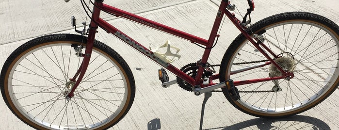 The Bike Rack is one of Locais curtidos por Sree.