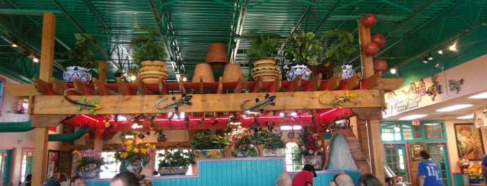 Rosa's Cafe & Tortilla Factory is one of Lieux qui ont plu à Whitogreen.