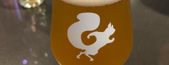 Mighty Squirrel Brewery + Taproom is one of Boston Craft Beer.