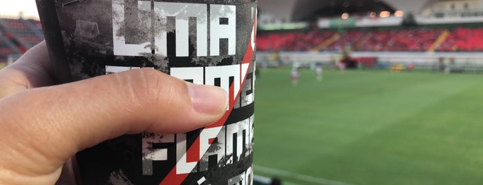 Estádio Luso-Brasileiro (Ilha do Urubu) is one of Aqui na terra tão jogando futebol.