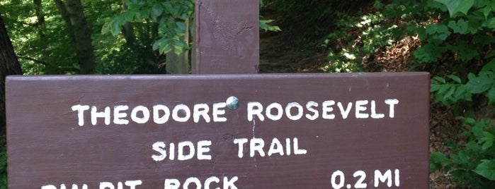 Theodore Roosevelt Side Trail is one of Trails.