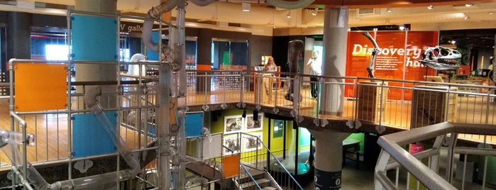 Museum of Discovery is one of AR.