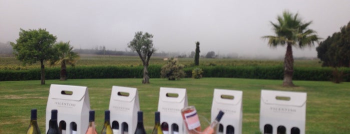 Vicentino is one of Portugal fun. Beer and wineries.