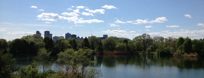 Parc Jean-Drapeau is one of Montreal activities.