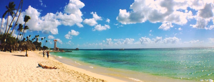Playa Dominicus is one of Bayahibe.