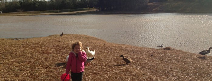 Senoia City Park At Merimac Lakes is one of been there, done that....