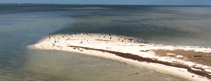 Isla Pajaros is one of Holbox.