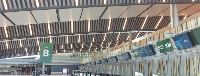Aeropuerto Internacional Sir Seewoosagur Ramgoolam (MRU) is one of Lugares favoritos de Diego.