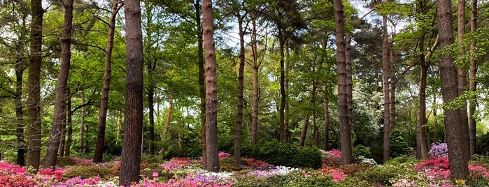 Rhododendronpark is one of Bremen.