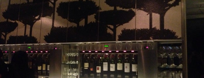 Tastings Wine Bar is one of Hong Kong: To-Do in The Pearl of the Orient.