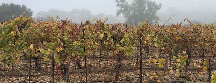 Mosby Winery is one of Santa Barbara Wineries.