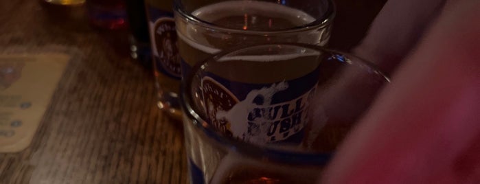 Bull & Bush Pub & Brewery is one of Top Brewpubs.