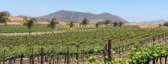 Chapin Family Vineyards is one of Temecula Wine Country.