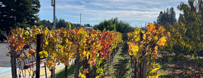Emeritus Vineyards is one of Wineries.