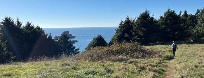 Ecola State Park Viewpoint is one of Lugares favoritos de Damon.