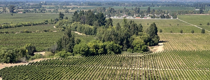 Clos Apalta Winery is one of Wines.