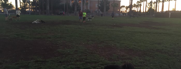 Hance Dog Park is one of Phoenix metro Dog-Friendly places.