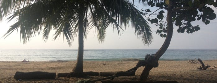 Playa Manzanillo is one of Stevenson's Favorite World Beaches.