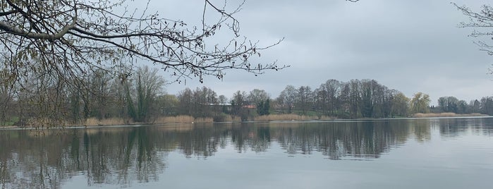 Groß Behnitzer See is one of Lugares favoritos de Michael.
