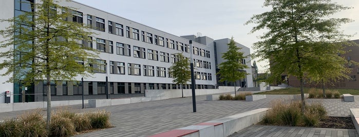 Institut für Politikwissenschaft der MLU is one of Michael 님이 좋아한 장소.