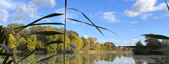 Breitlingsee is one of Berlin-Brandenburg – Nature Lakes.