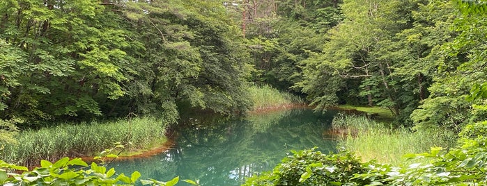 赤沼 is one of สถานที่ที่ Minami ถูกใจ.