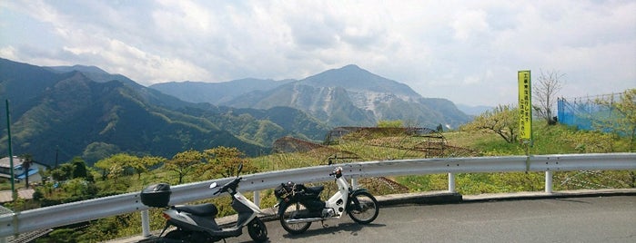 Mt. Buko is one of Lieux qui ont plu à Minami.