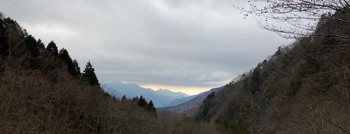 大谷崩れ is one of สถานที่ที่ Minami ถูกใจ.