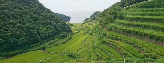 Hamanoura Rice Terrace is one of Lieux qui ont plu à Minami.