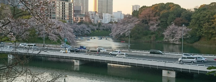 Kitanomaru Park Metropolitan Expressway Crossing Bridge is one of Lugares favoritos de Minami.