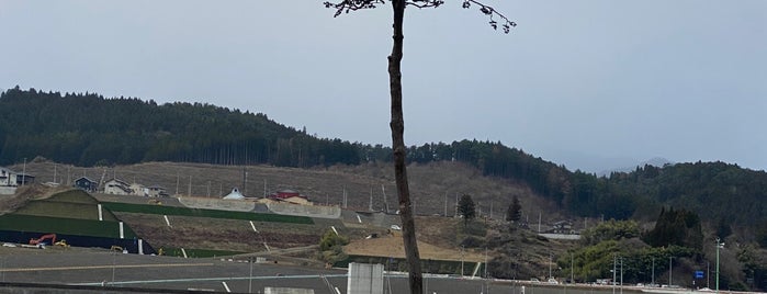 Miracle Pine is one of Tempat yang Disukai Minami.