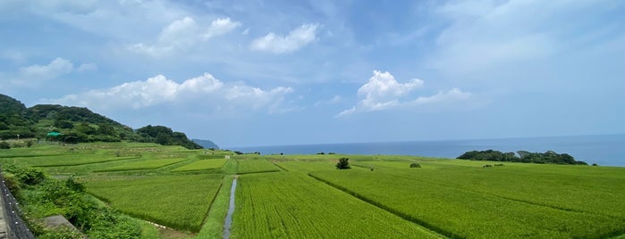 新井の千枚田 is one of Lieux qui ont plu à Minami.