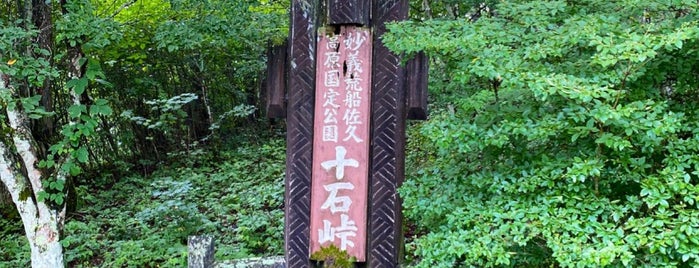 Jukkoku Pass is one of Tempat yang Disukai Minami.