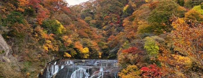 Fukuroda Falls is one of สถานที่ที่ Minami ถูกใจ.