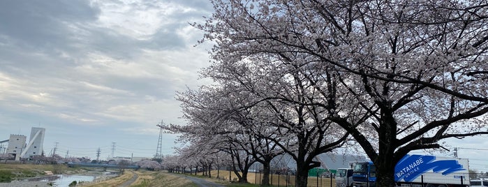児玉千本桜 is one of สถานที่ที่ Minami ถูกใจ.