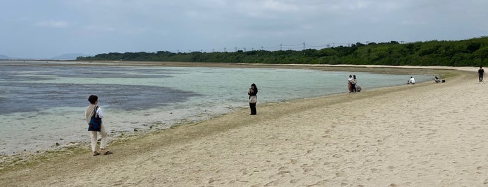 Kondoi Beach is one of Locais curtidos por Minami.