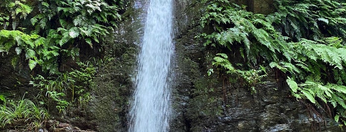 宿谷の滝 is one of Tempat yang Disukai Minami.