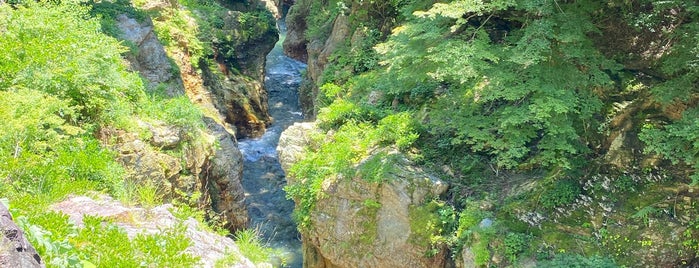 蝉の渓谷 is one of Tempat yang Disukai Minami.