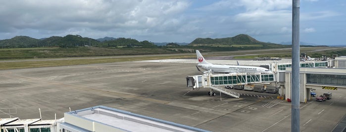 Ishigaki Airport Observation Deck is one of Lugares favoritos de Minami.