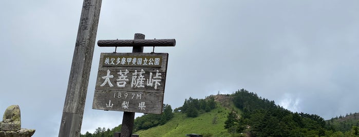 Daibosatsu Pass is one of Locais curtidos por Minami.