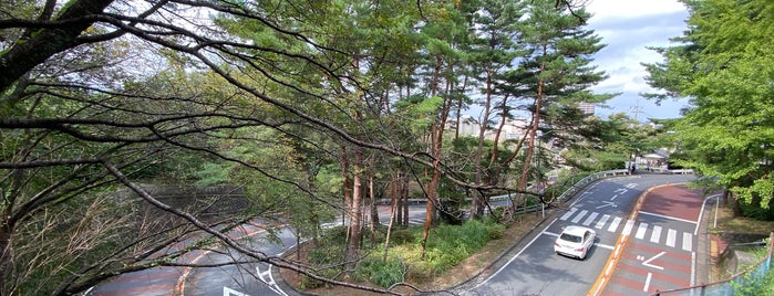 聖蹟桜ヶ丘 いろは坂通り is one of Orte, die Minami gefallen.