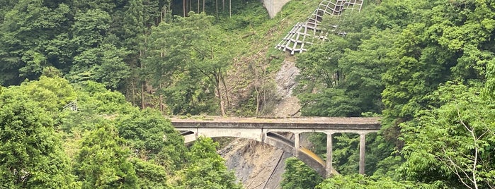 旧東京都水道局小河内線　第一氷川橋梁 is one of Tempat yang Disukai Minami.